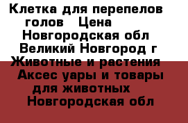 Клетка для перепелов 250 голов › Цена ­ 18 990 - Новгородская обл., Великий Новгород г. Животные и растения » Аксесcуары и товары для животных   . Новгородская обл.